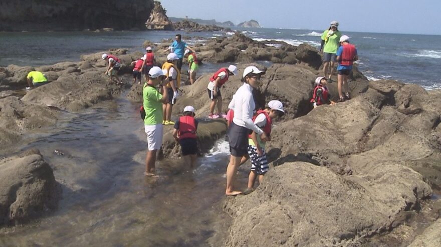 磯の生物多様性に目を向けよう　2016年8月5日　いわき市四倉舟戸海岸で子どもたちが磯遊び