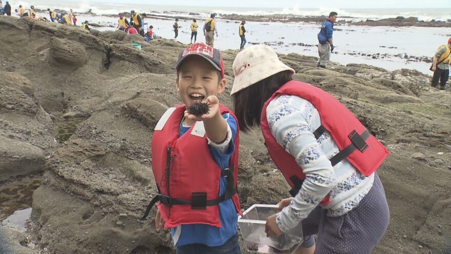 2018年7月17日オンエア「初夏の海を楽しもう」