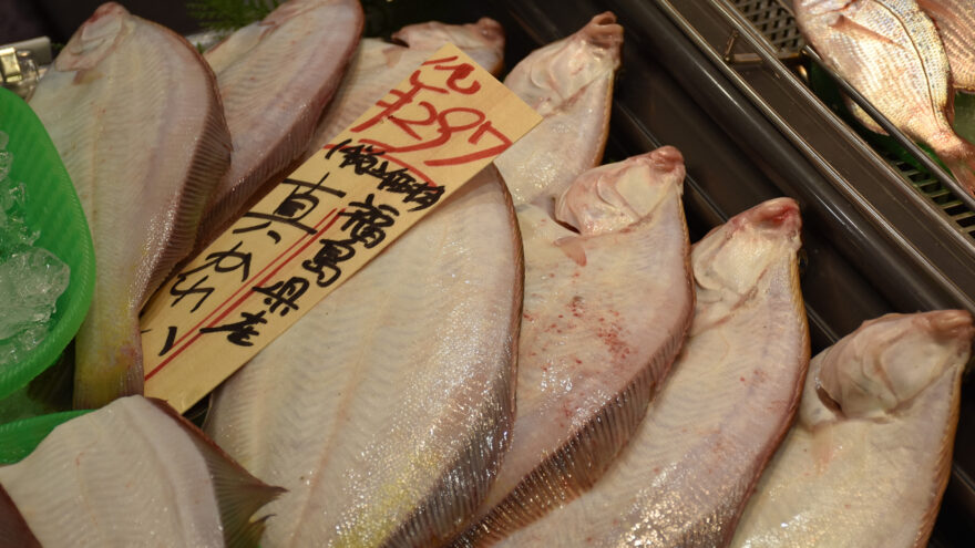 筑波大生現地調査レポ38 大型スーパーのリアルな声！-福島の魚の現状と展望