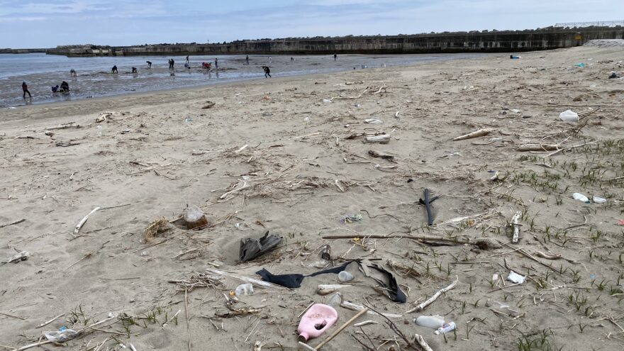 【海ごみレポート9】福島県沿岸にも流れ着く海ごみ