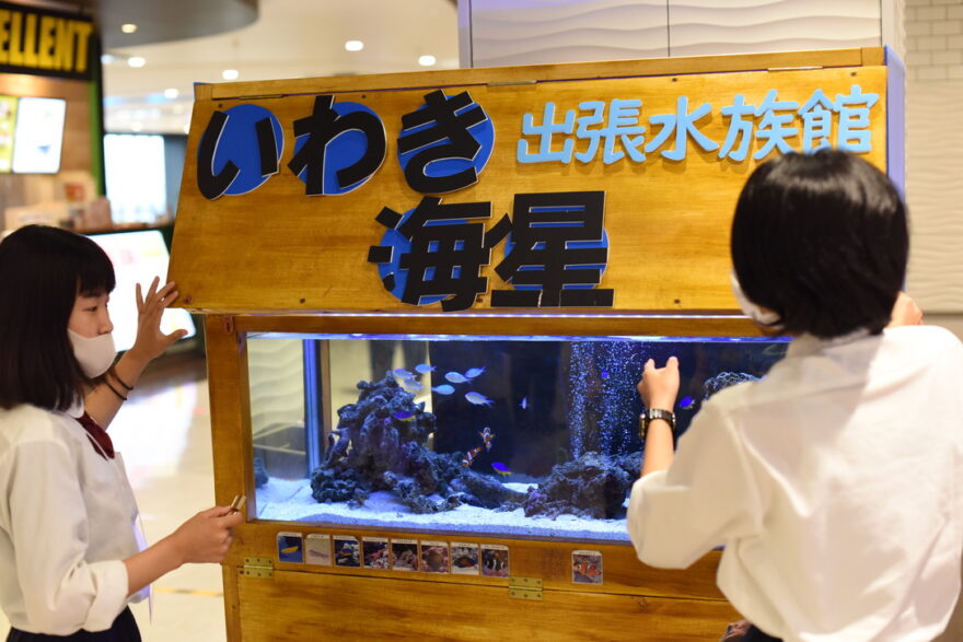 いわき海星高校「出張水族館」の清掃に同行！