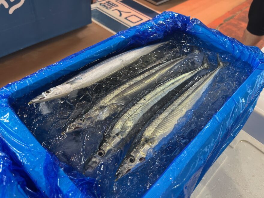 サンマ漁が好調　秋の味覚を「資源を守りながら」味わおう