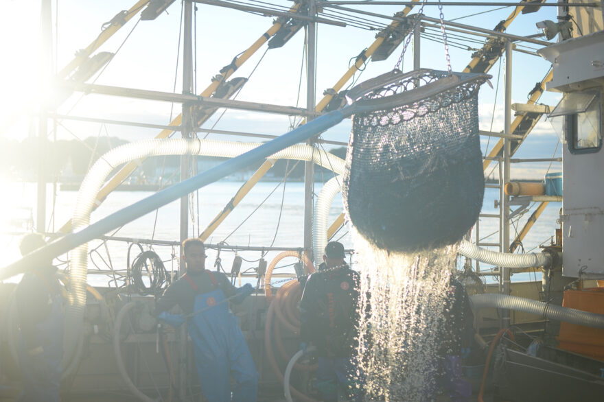 ふくしま秋海さんぽ ｜ 朝の小名浜漁港で港の息遣いを感じる
